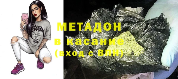 прущие грибы Алзамай