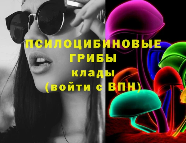 прущие грибы Алзамай