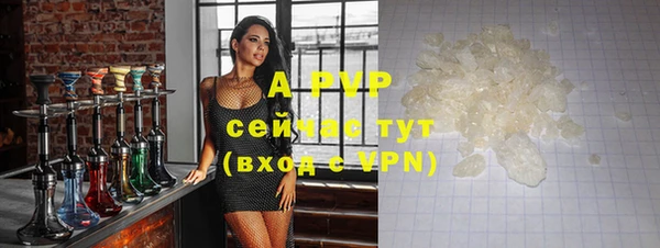 СК Арсеньев