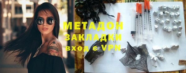 прущие грибы Алзамай