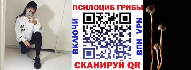 Галлюциногенные грибы ЛСД  МЕГА ONION  Сухиничи  хочу  